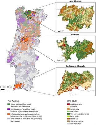 Defining priorities for wildfire mitigation actions at the local scale: insights from a novel risk analysis method applied in Portugal